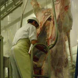 Beefspreader