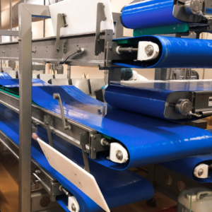 Conveyor Systems