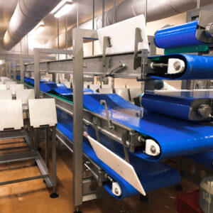 Thermoplastic Belt Conveyors